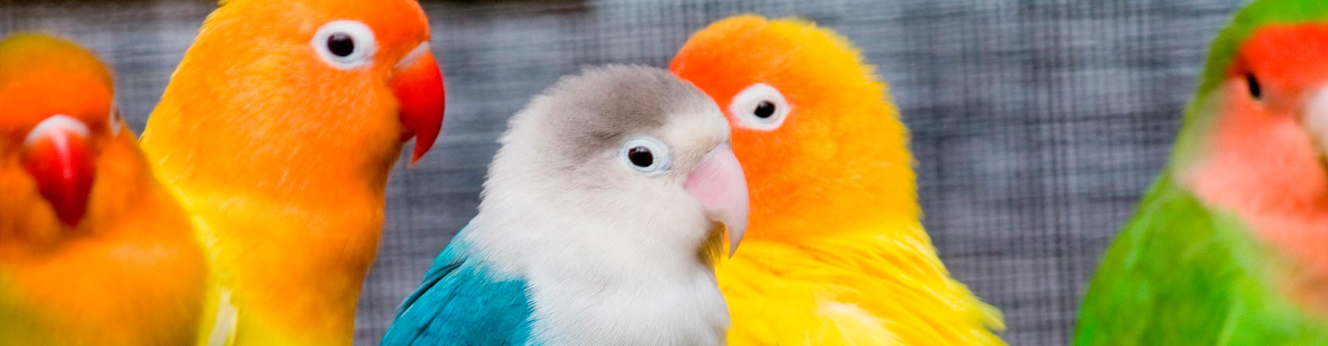 222